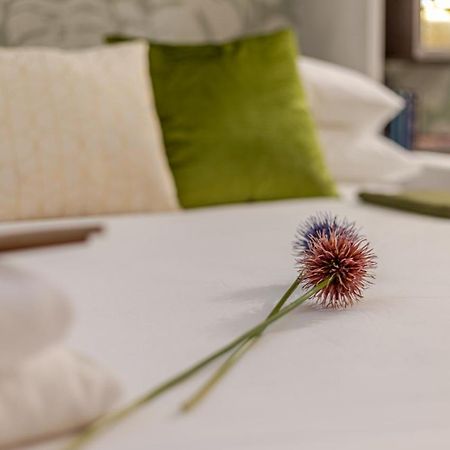 Green Terrace Loft Colosseum Rome Bagian luar foto